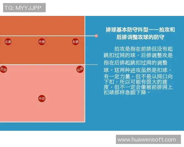 杭州排球队反击战术分析与未来发展展望