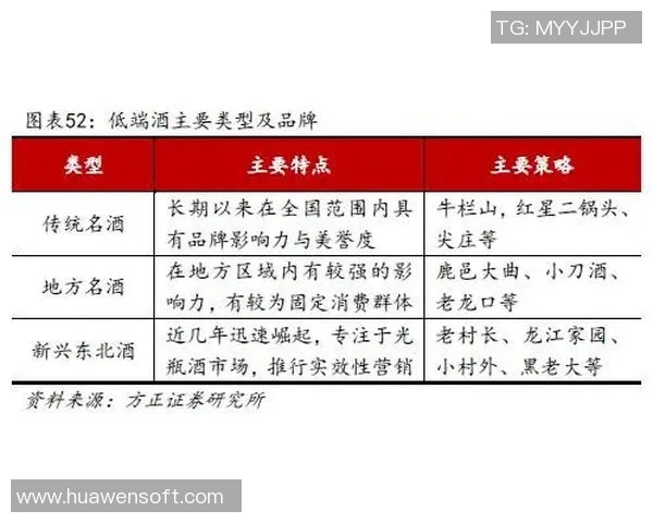 独家解读：杭州排球队意识形态的深度对比与影响分析